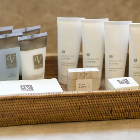 文西西莱森拉普拉塔森德尔苏尔酒店 阿德耶